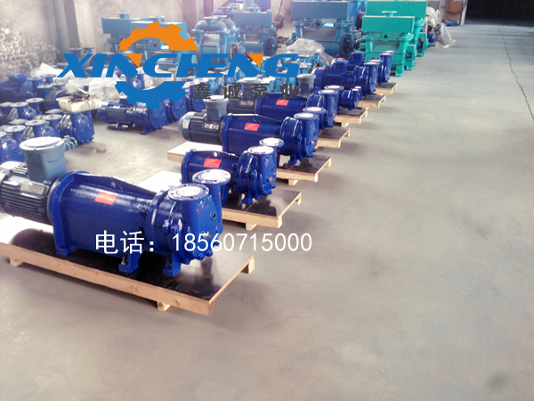 2bv6系列水環(huán)真空泵