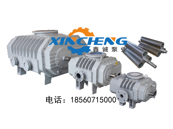 氣冷羅茨泵（進口）