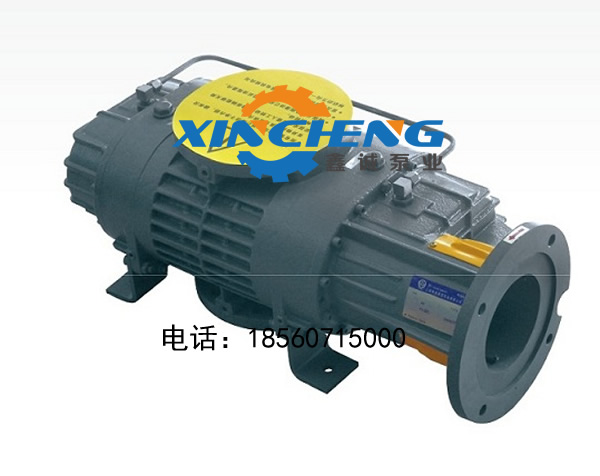 羅茨泵（進口）